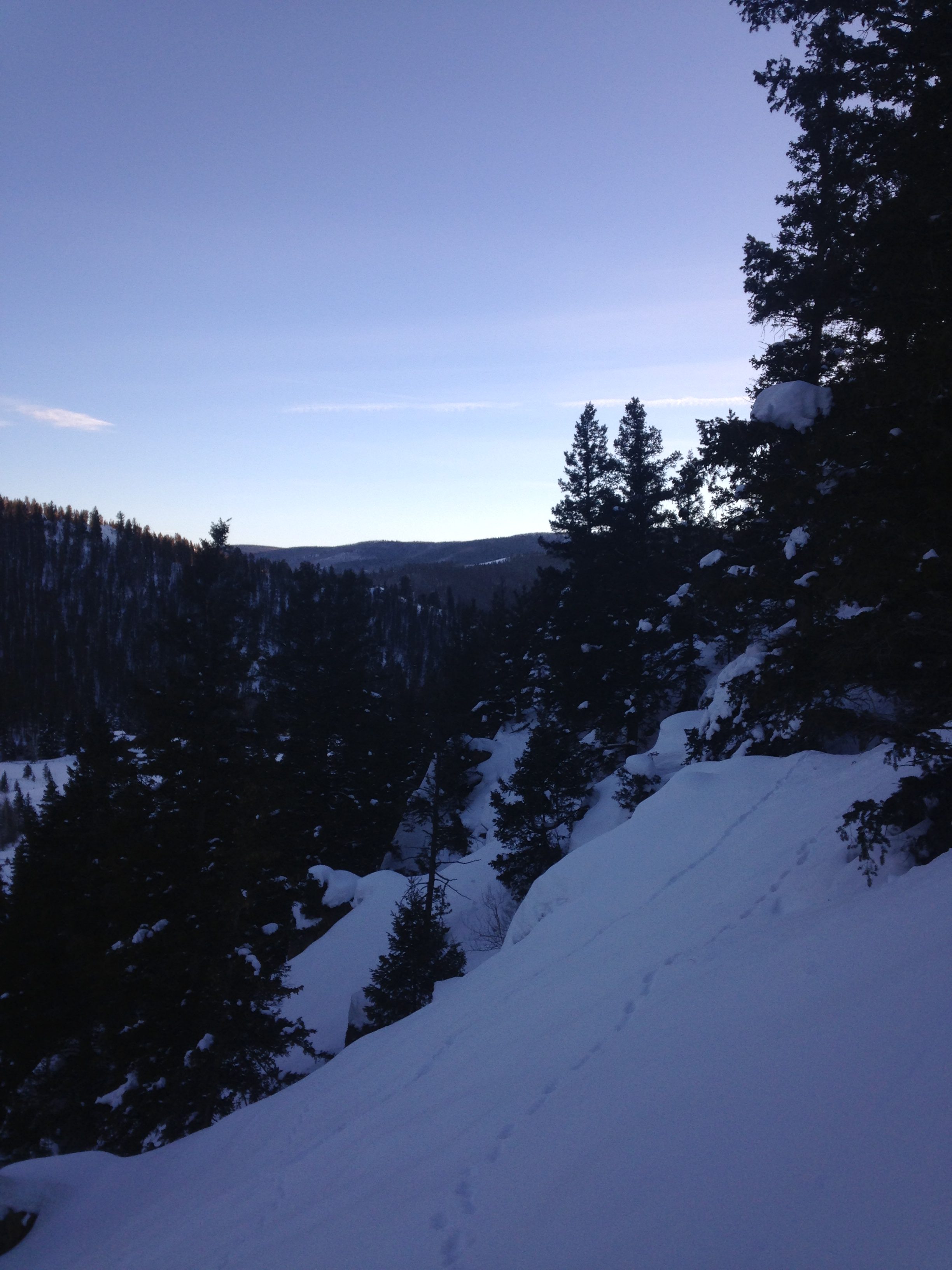 The Pineapple Express Is Here!